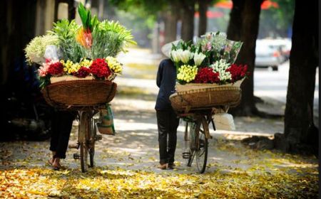 6 Days 5 Nights Package Hanoi- Halong- Sapa