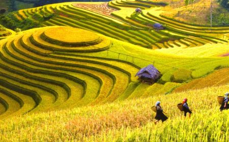 8 Days Northern Guided Vietnam Tours