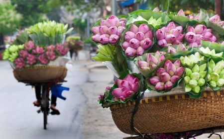 14 Day Vietnam - Cambodia One Stop Two Countries