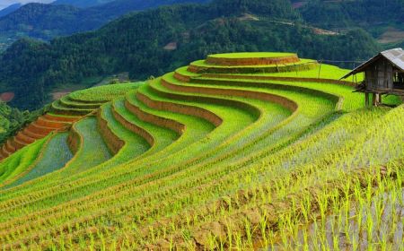 7 Days 6 Nights Hanoi- Halong – Sapa