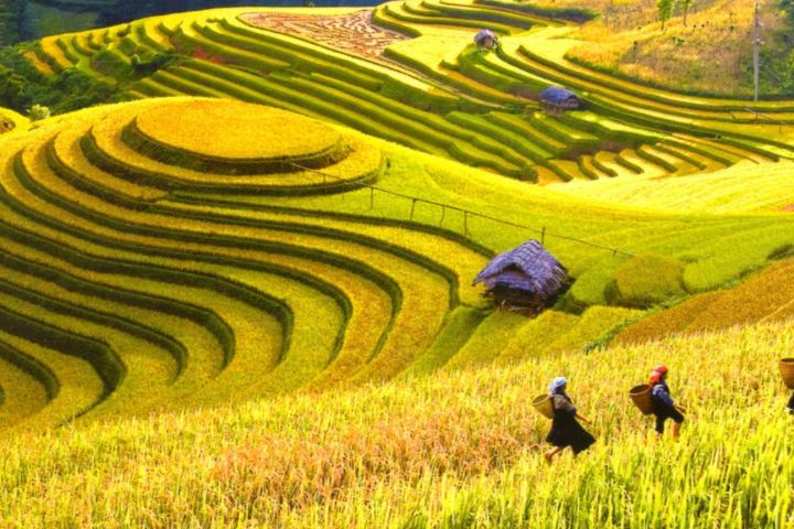 8 Days Northern Guided Vietnam Tours