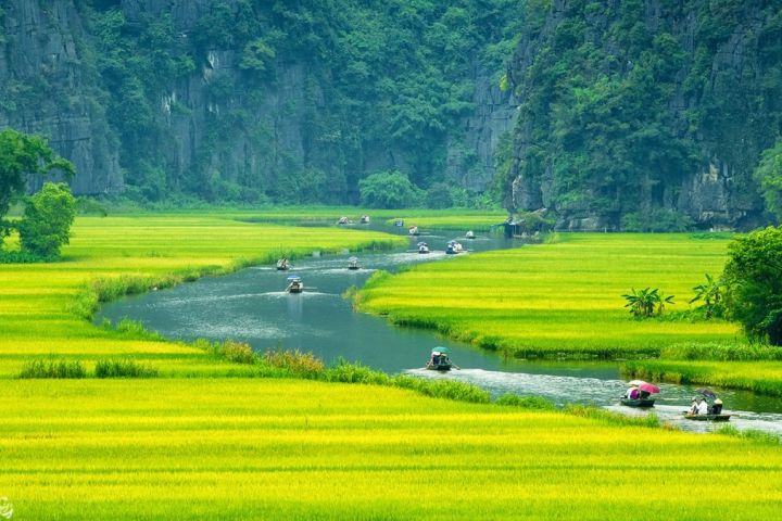 Hoa Lu - Tam Coc Mua Cave Daily Tour