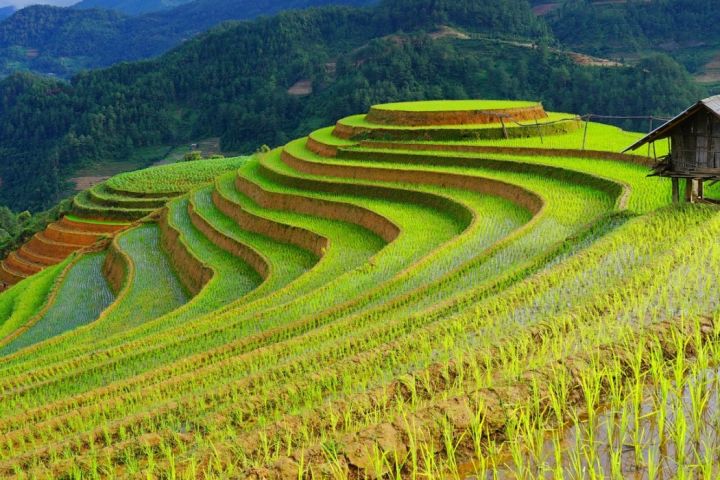 7 Days 6 Nights Hanoi- Halong – Sapa