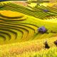 8 Days Northern Guided Vietnam Tours
